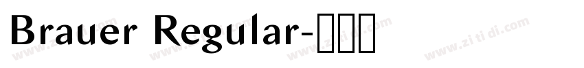 Brauer Regular字体转换